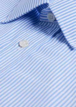 Paul Stuart Dress Shirts^Bengal Stripe Slim Fit Dress Shirt Light Blue