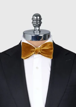 Paul Stuart Formal Shop^Blunt Edge Cotton Velvet Bow Gold