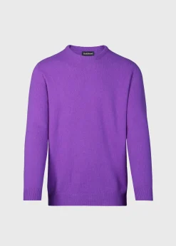 Paul Stuart Sweaters^Lambswool Crew Neck Sweater Plum