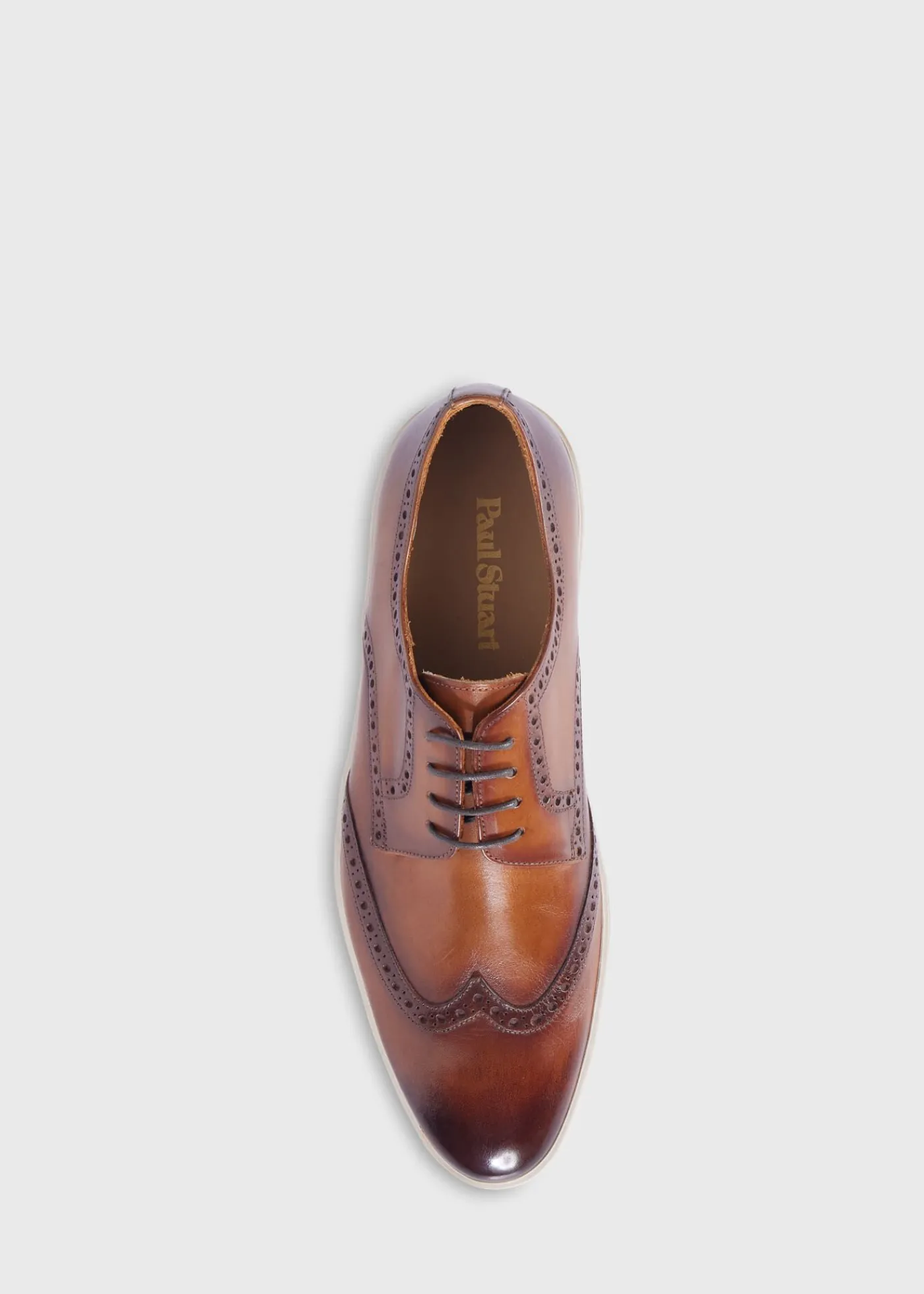 Paul Stuart Lace-Ups & Oxfords|Sneakers^Packer Wingtip Sneaker Cognac